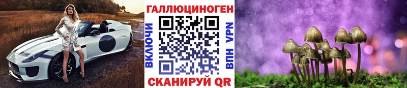 МЕГА вход  Тырныауз  Псилоцибиновые грибы GOLDEN TEACHER 